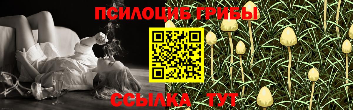 Псилоцибиновые грибы ЛСД Лениногорск