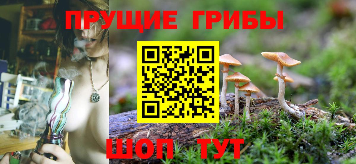 Псилоцибиновые грибы Magic Shrooms  Вход с VPN  Лениногорск  Псилоцибиновые грибы Magic Shrooms 