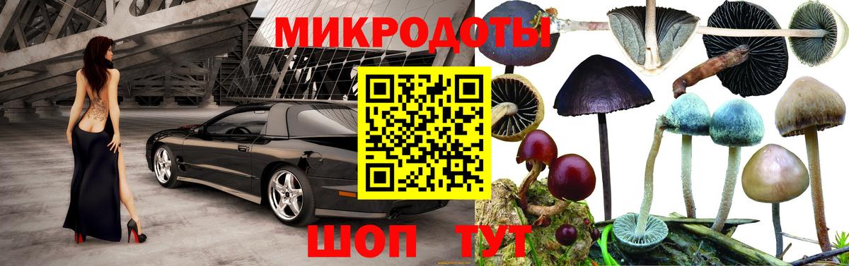 Псилоцибиновые грибы мицелий  Лениногорск 