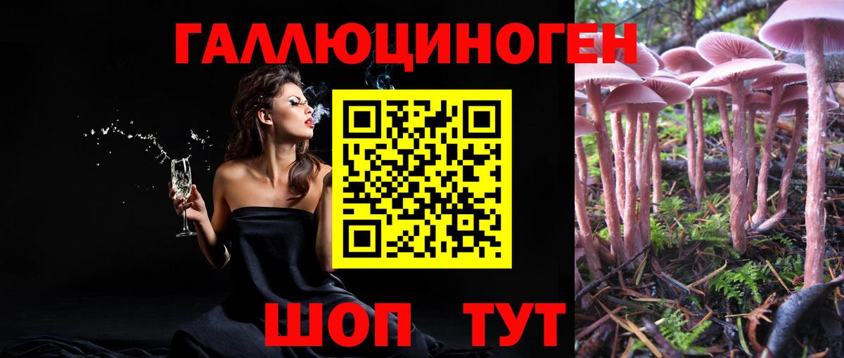 Галлюциногенные грибы мицелий Лениногорск